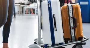 United Basic Economy Vs Economy: Differences & Customer Insights