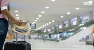 United Basic Economy Vs Economy: Differences & Customer Insights